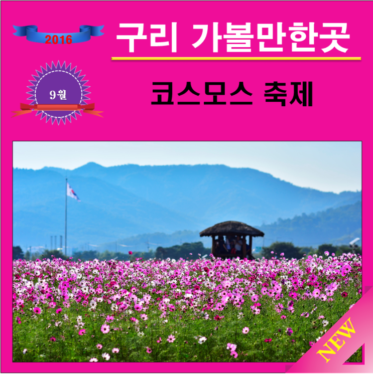  구리 코스모스 축제 끝났어요.