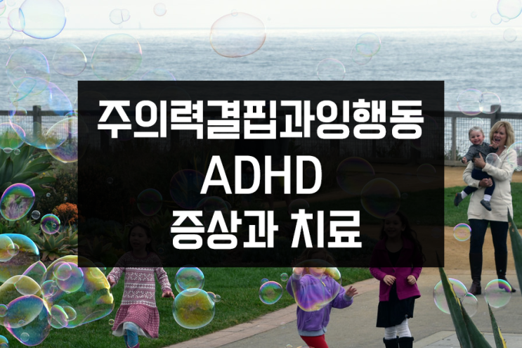 주의력결핍과잉행동장애 ADHD 아기부터 청소년 성인까지 증상과 치료 주의력결핍과잉행동장애 ADHD 아기부터 청소년 성인까지 증상과 치료