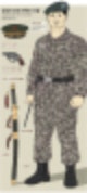 중대장 나무위키,중대장 특징,중대장 대위,중대장 월급,중대장 행보관,중대장 드립,중대장 나이,중대장 훈련병,중대장 계급,중대장 영어,