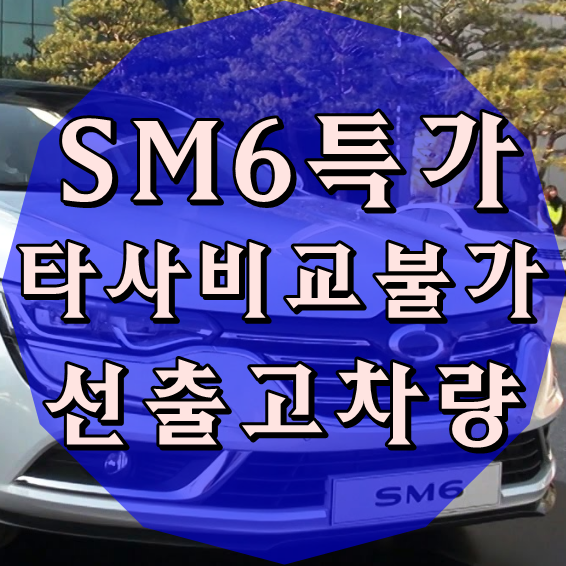  SM6 장기렌트 비교불가 프로모션