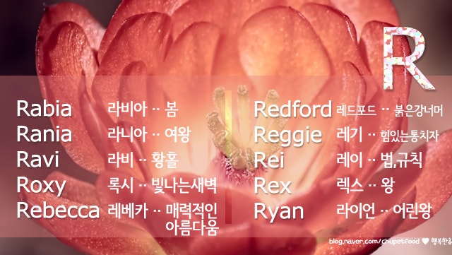 예쁜 영어단어를 여러개 모아봤어요-2/3 I~R : 네이버 블로그