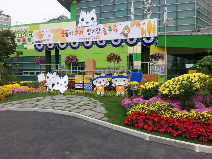  2016 고양가을꽃축제 호수공원 아름다움 한가득