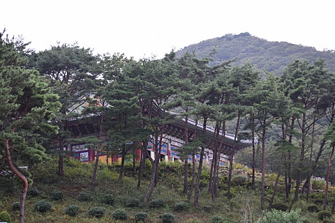 작은쉼터야영장 이미지