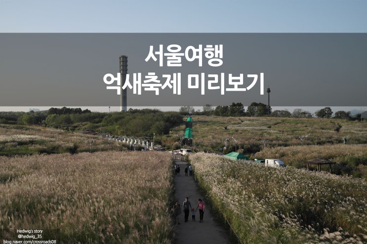  서울 여행 월드컵 하늘공원 억새풀축제 미리가기