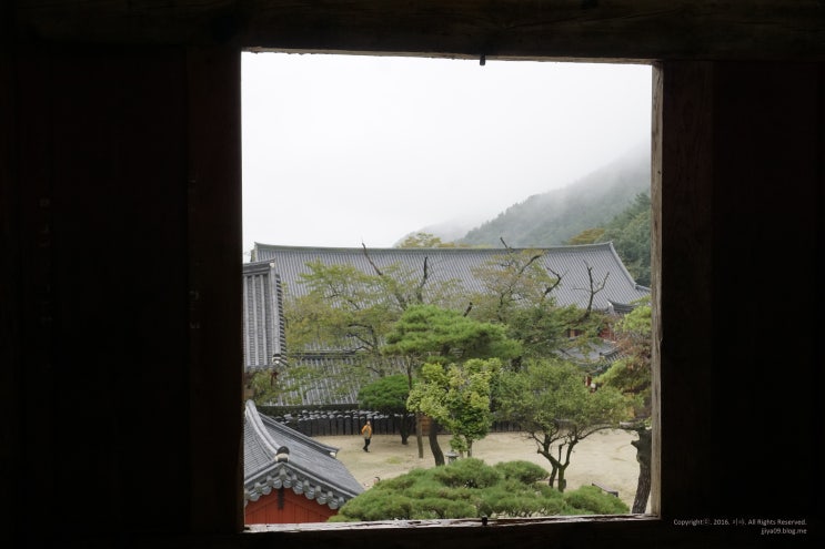  전남 구례 가볼만한곳 지리산 화엄사