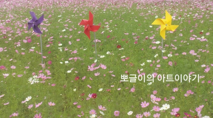  코스모스꽃말/의정부 가을꽃 코스모스광장~구경갔다 왔어요.