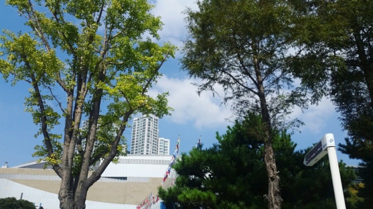  부산 맛집[원조짚불곰장어기장외가집]곰장어! 꼼장어!