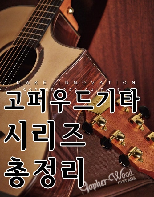 고퍼우드 어쿠스틱 기타 입문용기타 탑솔리드 올솔리드 시리즈 총정리 : 네이버 블로그 고퍼우드 어쿠스틱 기타 입문용기타 탑솔리드 올솔리드 시리즈 총정리 : 네이버 블로그
