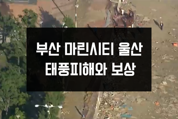 태풍 차바 부산,울산,해운대,마린시티 피해와 보상 태풍 차바 부산,울산,해운대,마린시티 피해와 보상