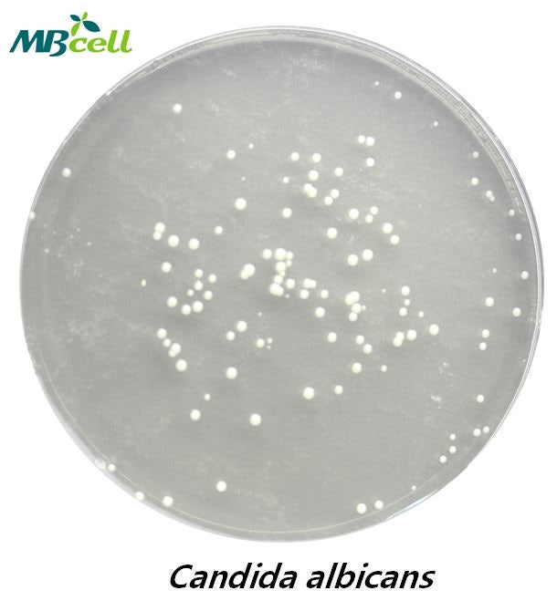 DG18 (Dichloran-Glycerol 18%) Agar MB-D2152 : 네이버 블로그