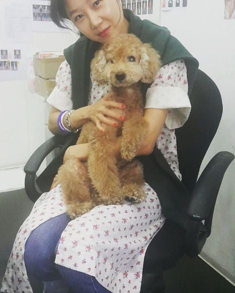 韓国は今ペットブーム 韓国で人気のかわいい犬ランキングを一挙大公開 韓国は今ペットブーム 韓国で人気のかわいい犬ランキングを一挙大公開