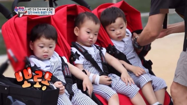  삼둥이 근황, 몰라보게 길어졌어요!