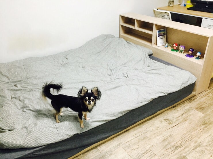 저상형침대 : 넘나 예쁜 리바트 뉴트 퀸 침대프레임 구매했어요!