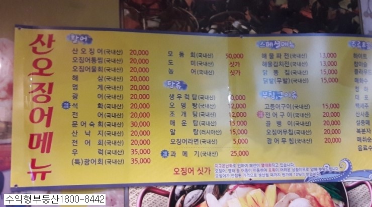  신천역 먹자골목 산오징어회 역시 최고 랍니다