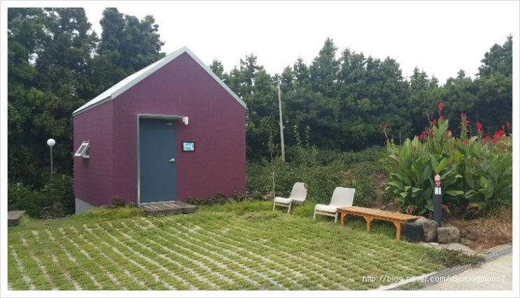  제주 독채 게스트하우스 춤추는달, 이곳에서 제주의 낭만을 즐기자!