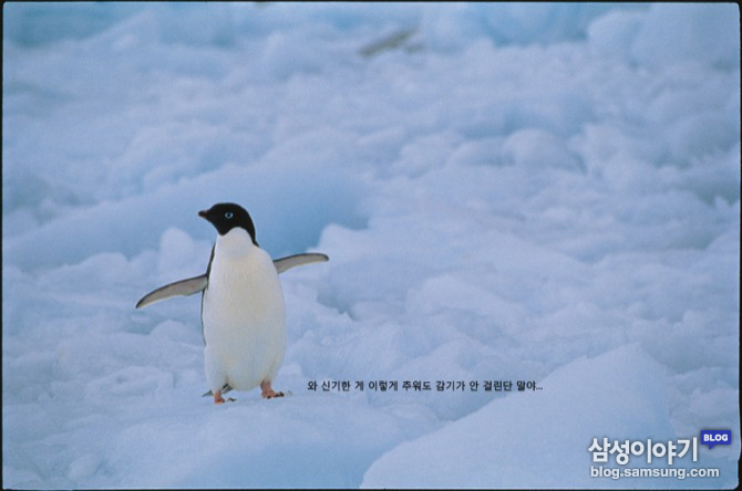  일교차 심한 환절기 감기원인과 예방법