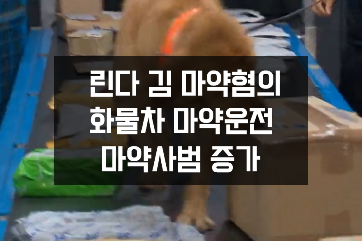 화물차 마약운전, 린다김 마약혐의, 교수, 가정주부 마약사범 증가 화물차 마약운전, 린다김 마약혐의, 교수, 가정주부 마약사범 증가