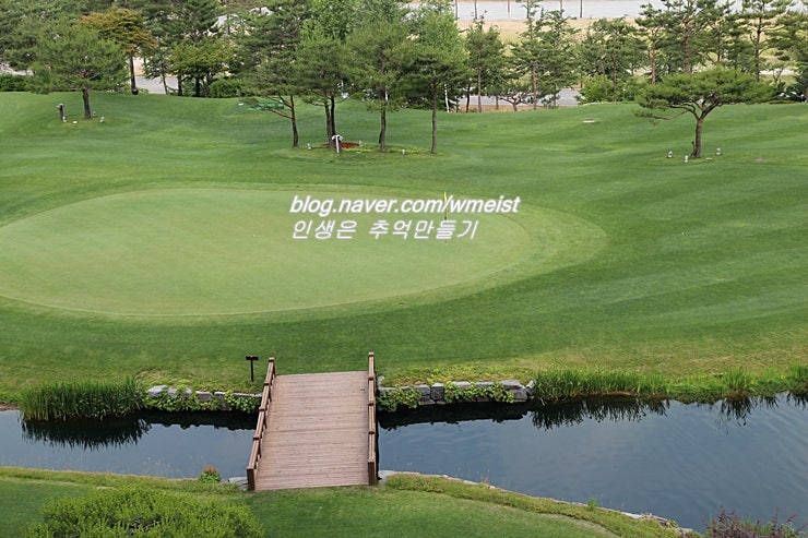 골프장갈때 골프보험 동부화재 다이렉트로 간편가입