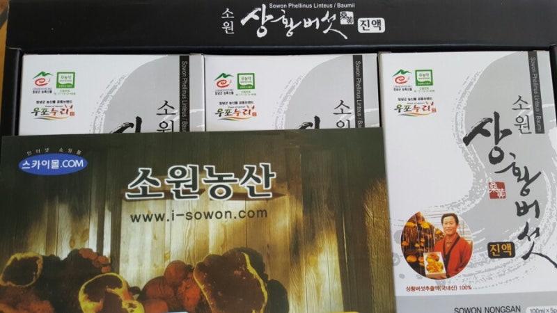 소원농산 상황버섯으로 겨울 건강 챙겨보기