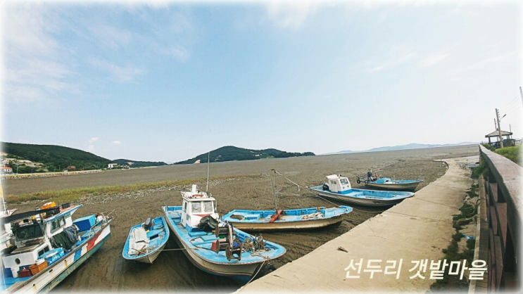  8월의 여름날 시원하게 먹었던 진영호 눈꽃물회