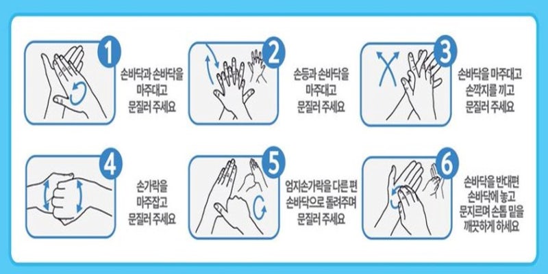 세계 손씻기의 날, 올바른 손씻기로 건강을 지키세요! : 네이버 블로그
