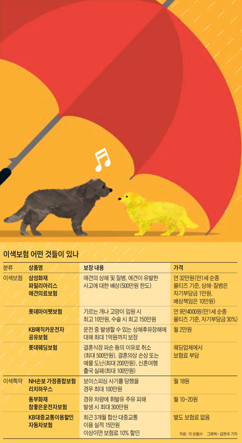 만만찮은 애견 치료비? 보이스피싱?… 가려운 곳 긁어주는 이색 보험 만만찮은 애견 치료비? 보이스피싱?… 가려운 곳 긁어주는 이색 보험