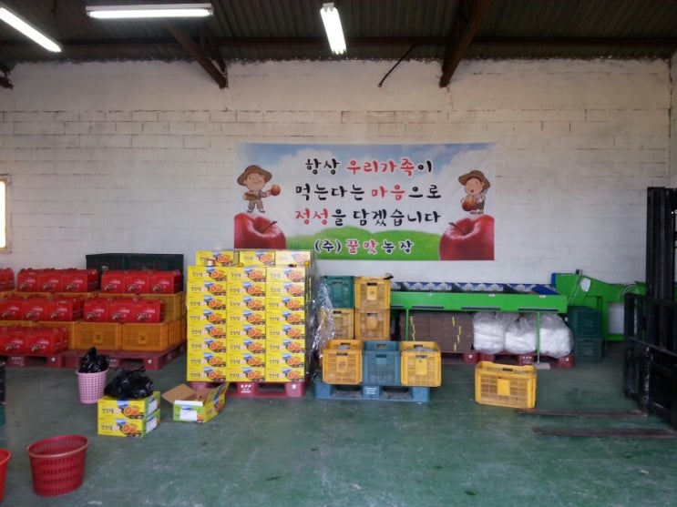  [꿀맛농장] 청송사과농장 직거래 창고