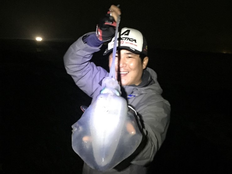 키로급 무늬오징어를 만나다
