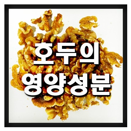  호두의 영양성분&효능