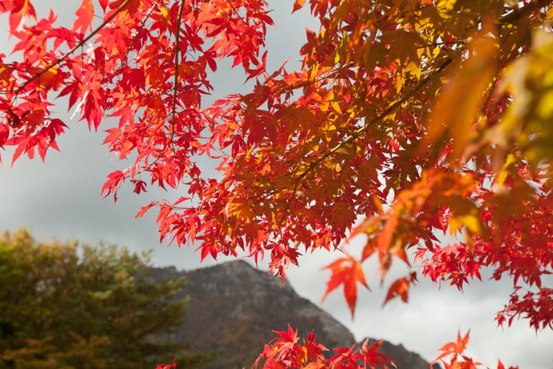 가을 풍경/ 10월의 시 : 네이버 블로그