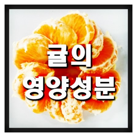  귤의 영양성분&효능