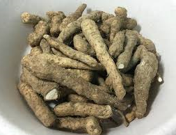  마 효능을 알아보자