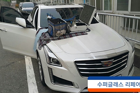 통진차유리 이미지