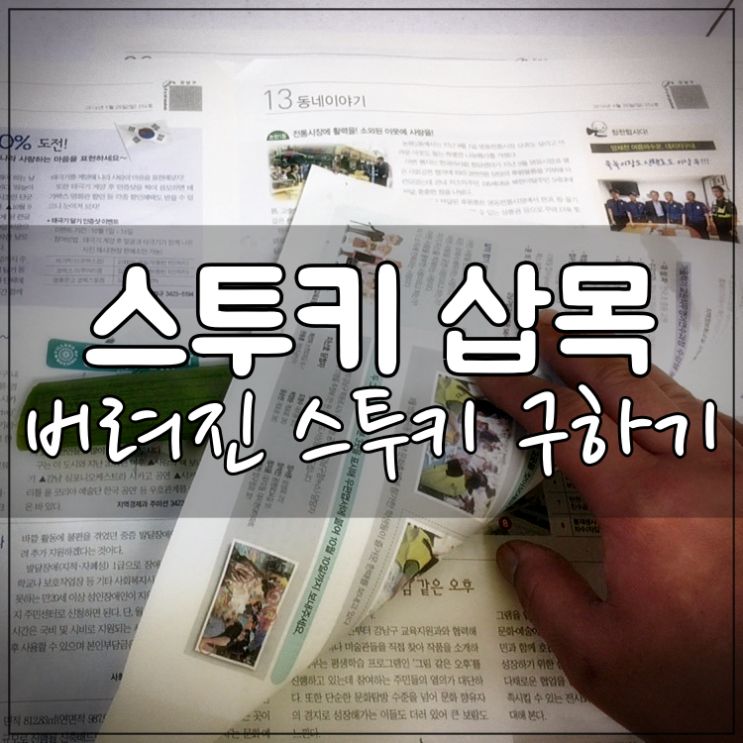  스투키 삽목 : 버려진 스투키를 구하라