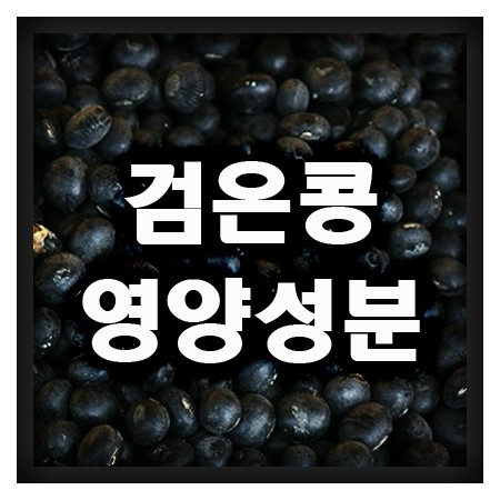 검은콩의 영양성분과 효능! 