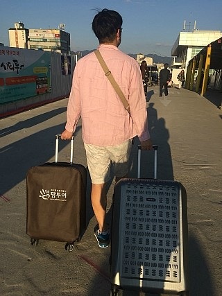 이놀자 리뷰 :: 〔 D-Day 〕 동대구역 인천공항행 Ktx / 카타르항공 기내식