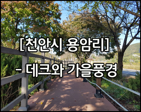  [천안 용암리] 가을풍경에 잘 어우러진 데크와 휀스~~!