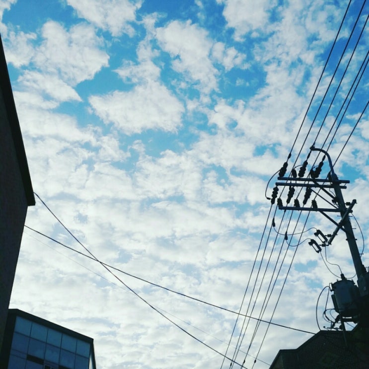  오늘 구름.. 지진운..!
