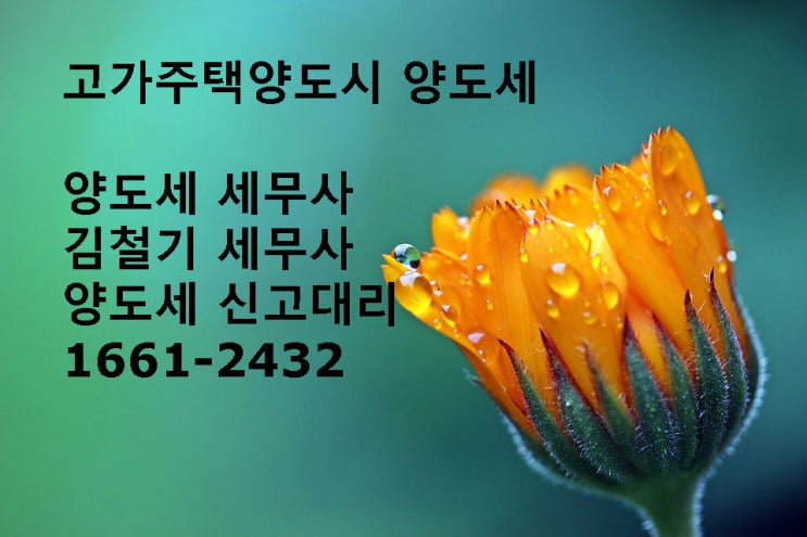 [양도세 세무사] 남양주 세무서 구리시 양도세 세무사 - 9억 초과 고가주택 양도시 세금은?