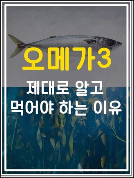  식물성 오메가3 제대로 알자