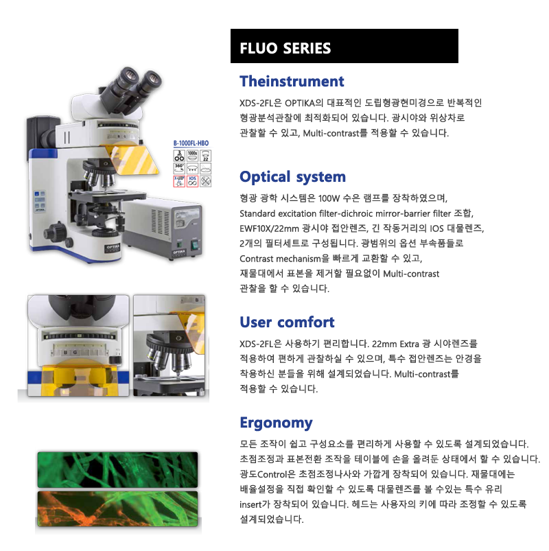 정립 형광현미경, 도립 형광현미경 (Upright & Inverted Fluorescence Microscope) / FLUO ...