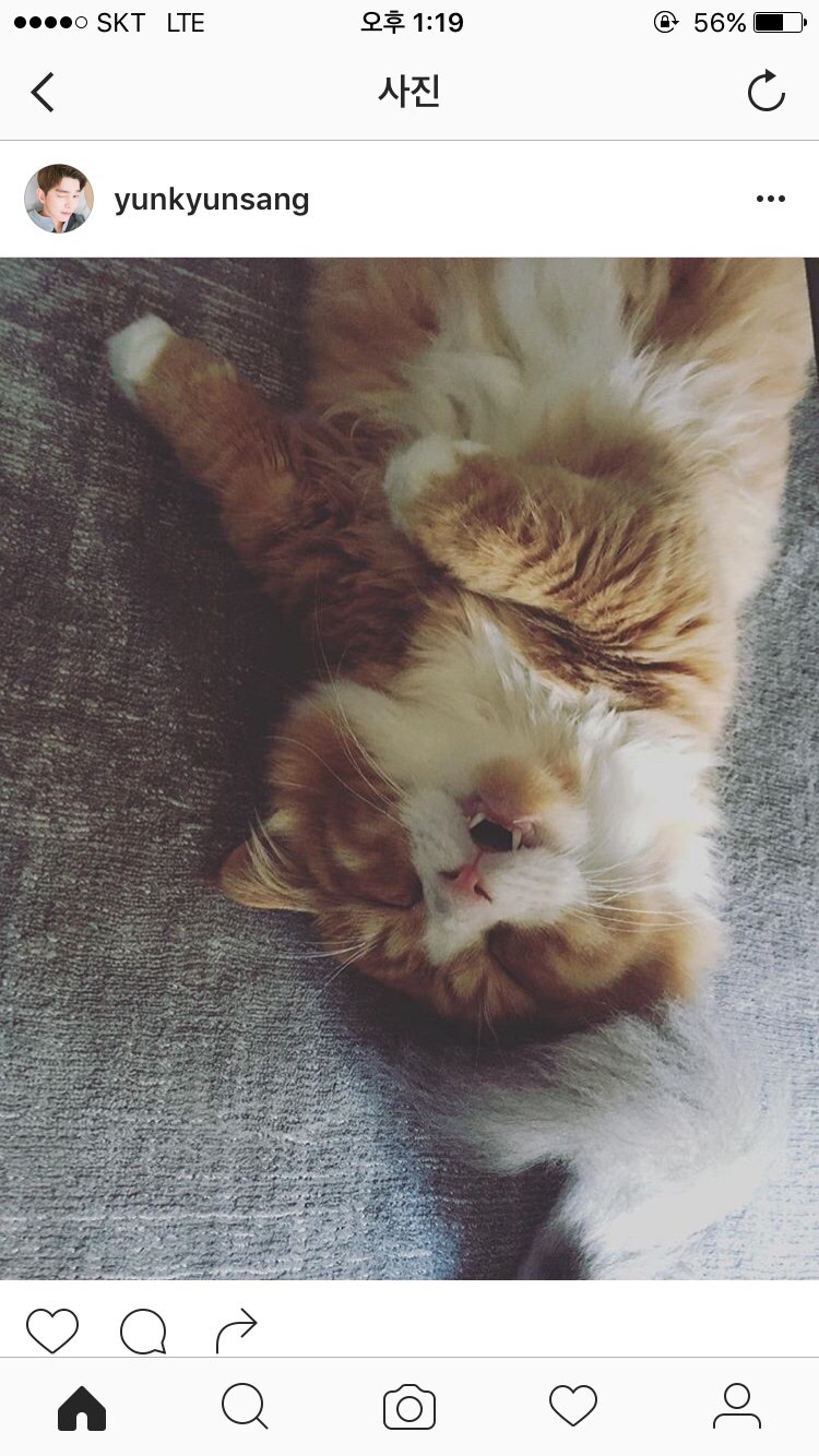 윤균상 고양이 !!