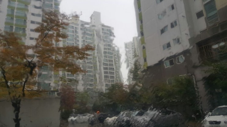  비 오는 날의 청승 
