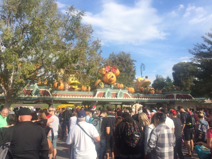 Halloween은 Disneyland park 에서!