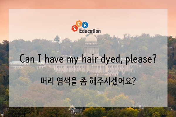 [뇌 새기기] 염색 브리치를 영어로 하면? 미용실에서 사용할 수 있는 영어 표현! 5