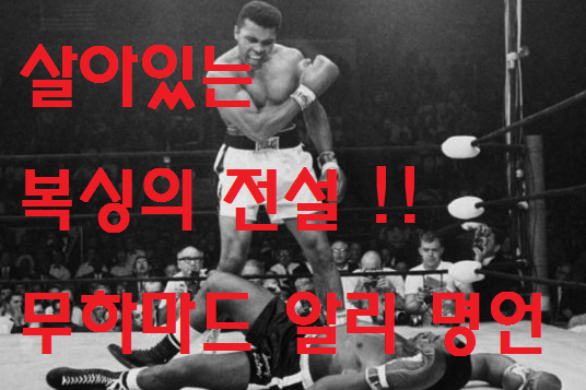 무하마드 알리 명언 모았어요.
