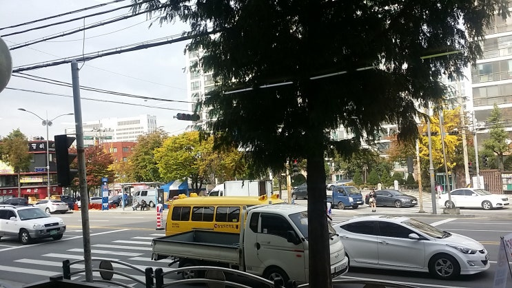  단풍잎이 이쁜거리
