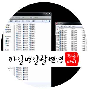  다크네이머 파일이름 일괄변경 친절하게 알려드려요.