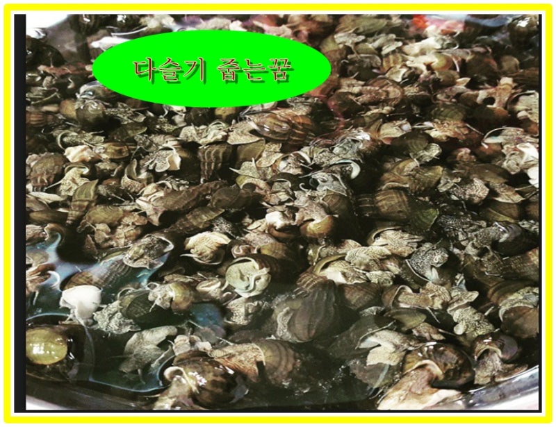 ♬다슬기잡는꿈꿈해몽♬