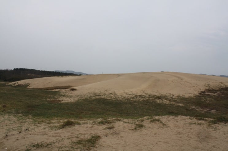  충남/태안 신두리해안사구 신두리해수욕장 모항항수산물시장